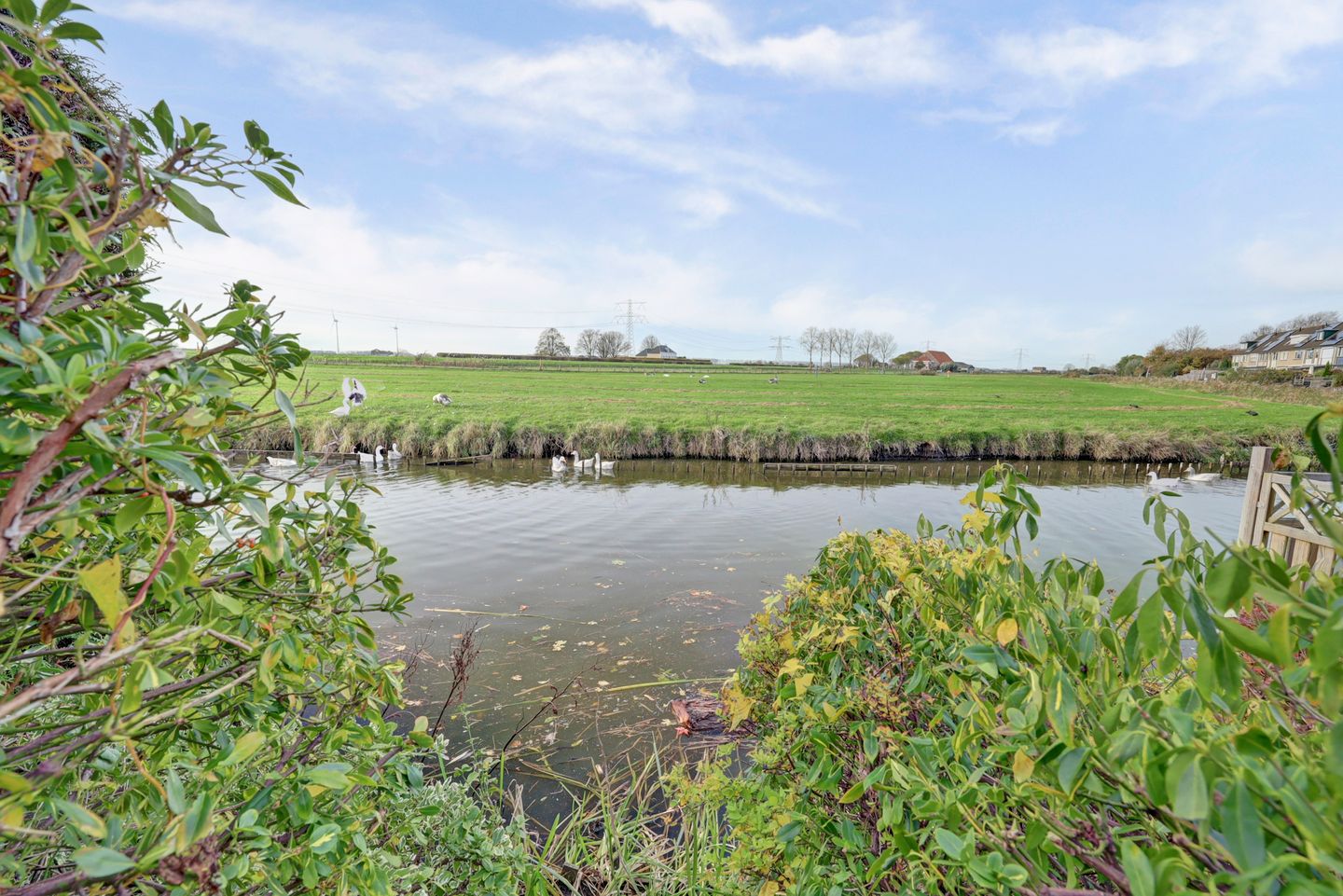 Foto 10 van Visserskreek 50