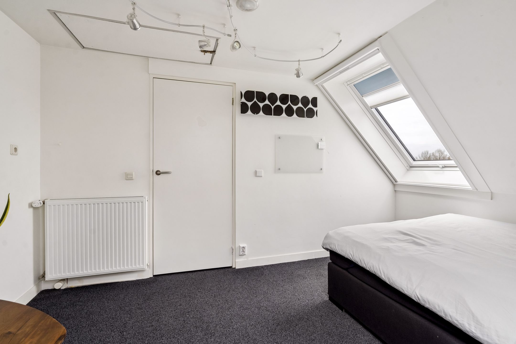 Foto 42 van Atalanta 126