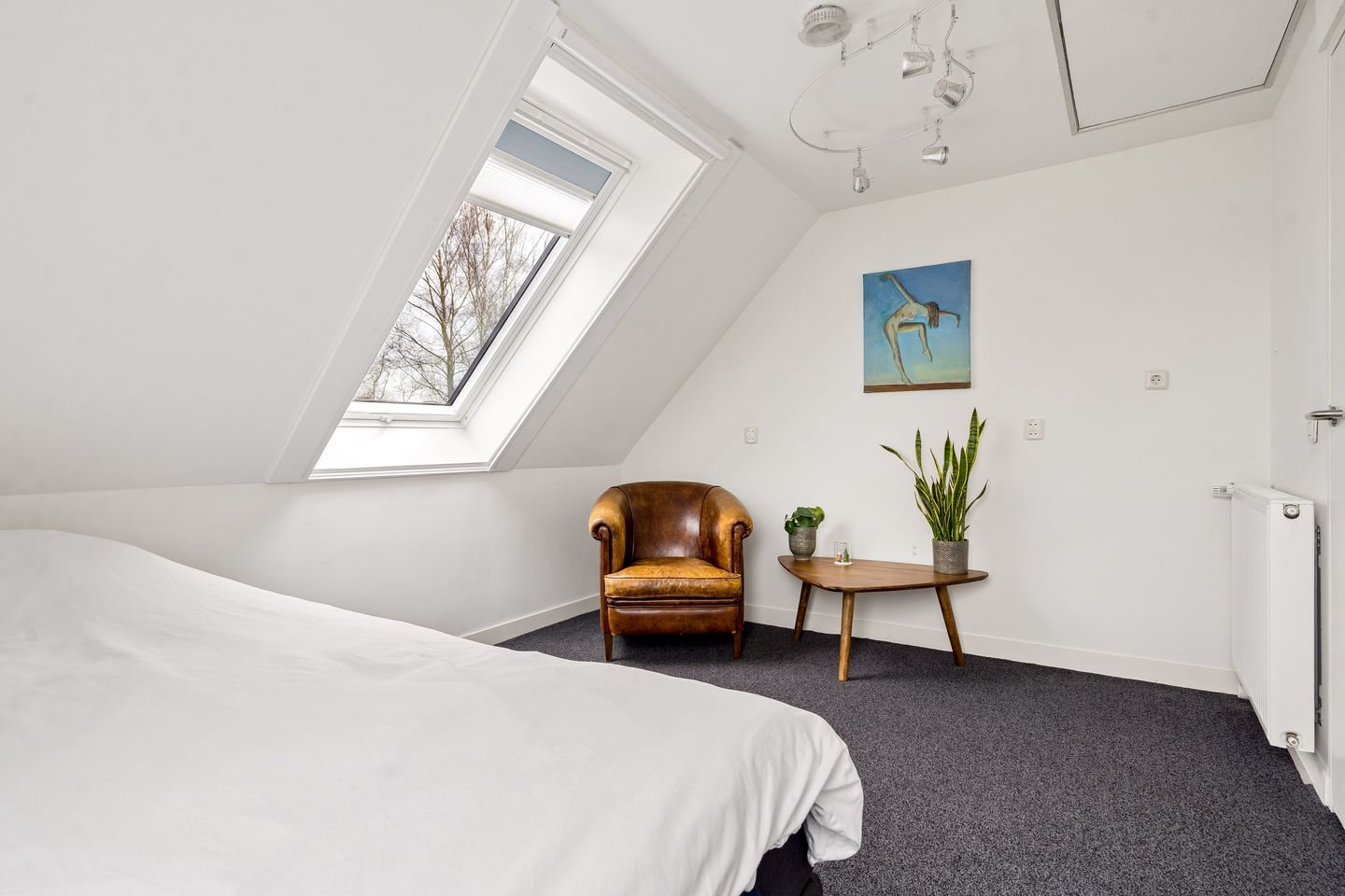 Foto 44 van Atalanta 126