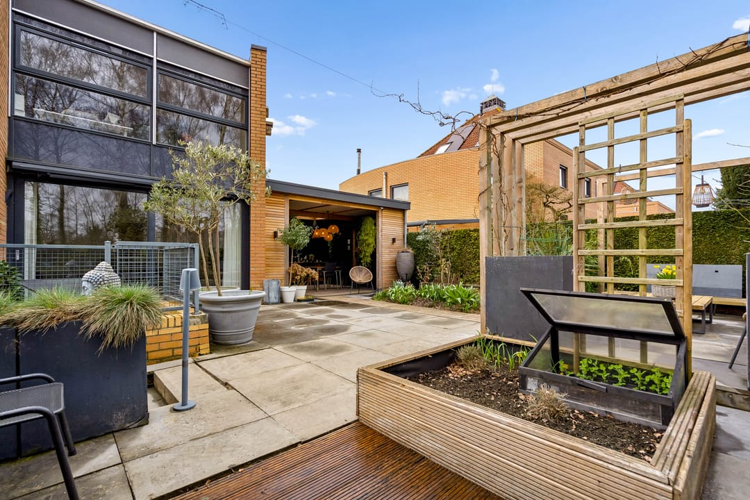 Foto 61 van Atalanta 126