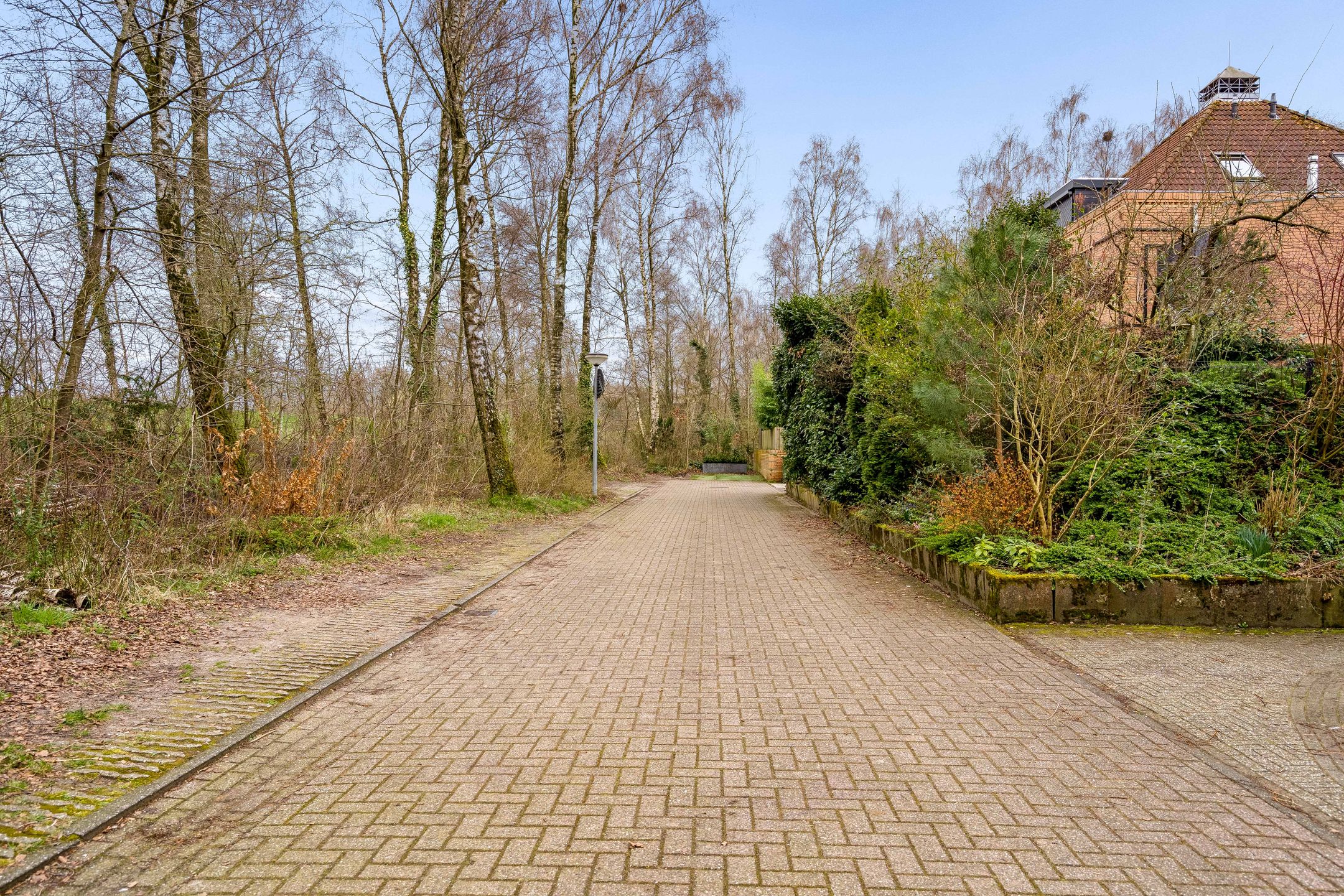 Foto 66 van Atalanta 126