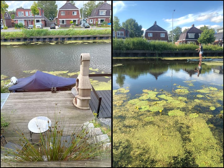 Foto 2 van De Waard 203