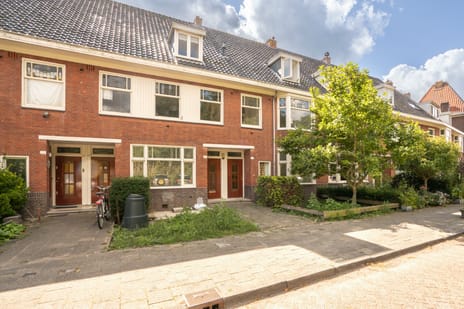 Berkenstraat thumbnail