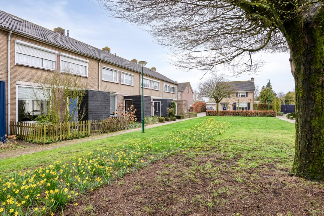 Foto 2 van Haagstuk 22