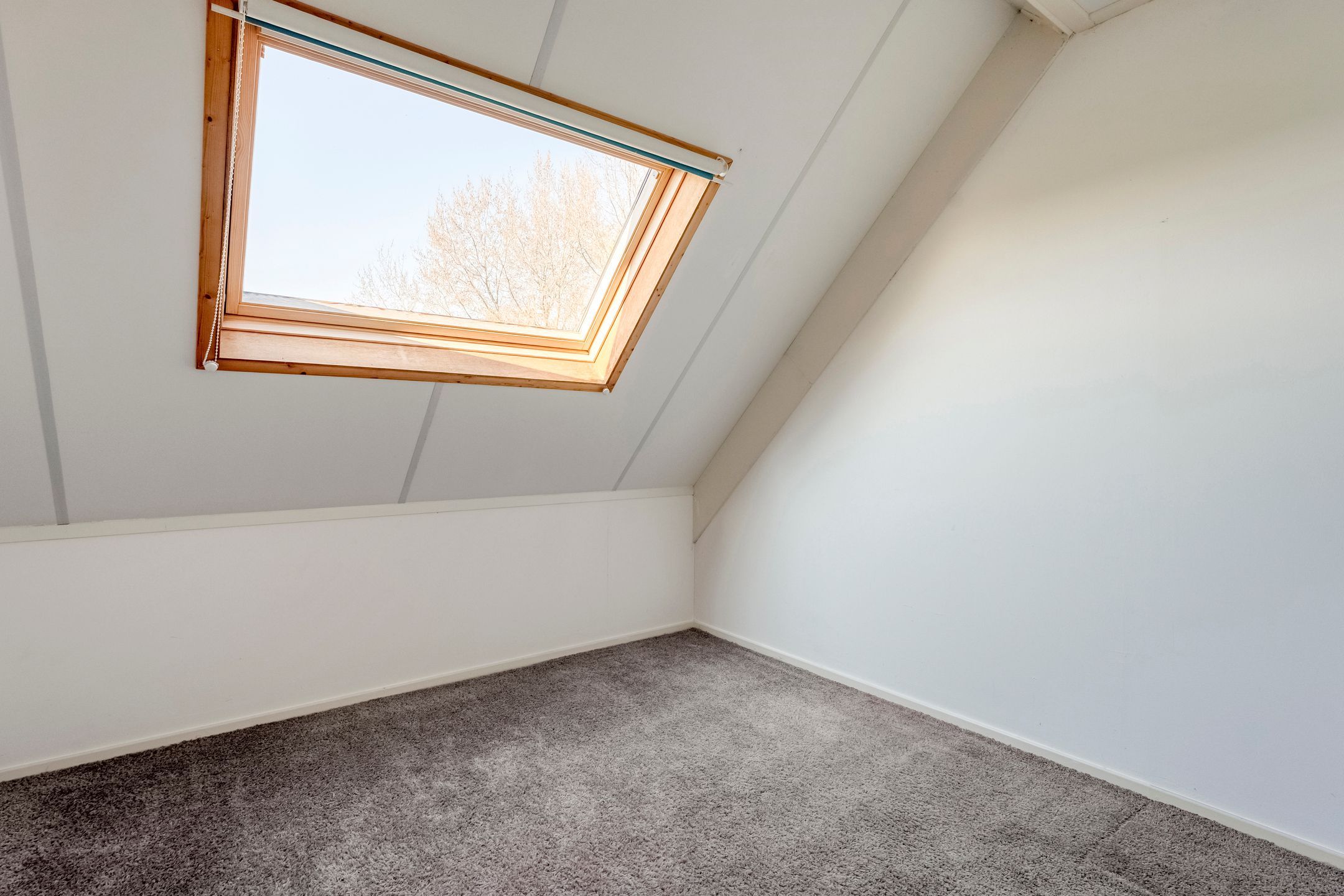 Photo 33 of Hasselterdijk 50-A