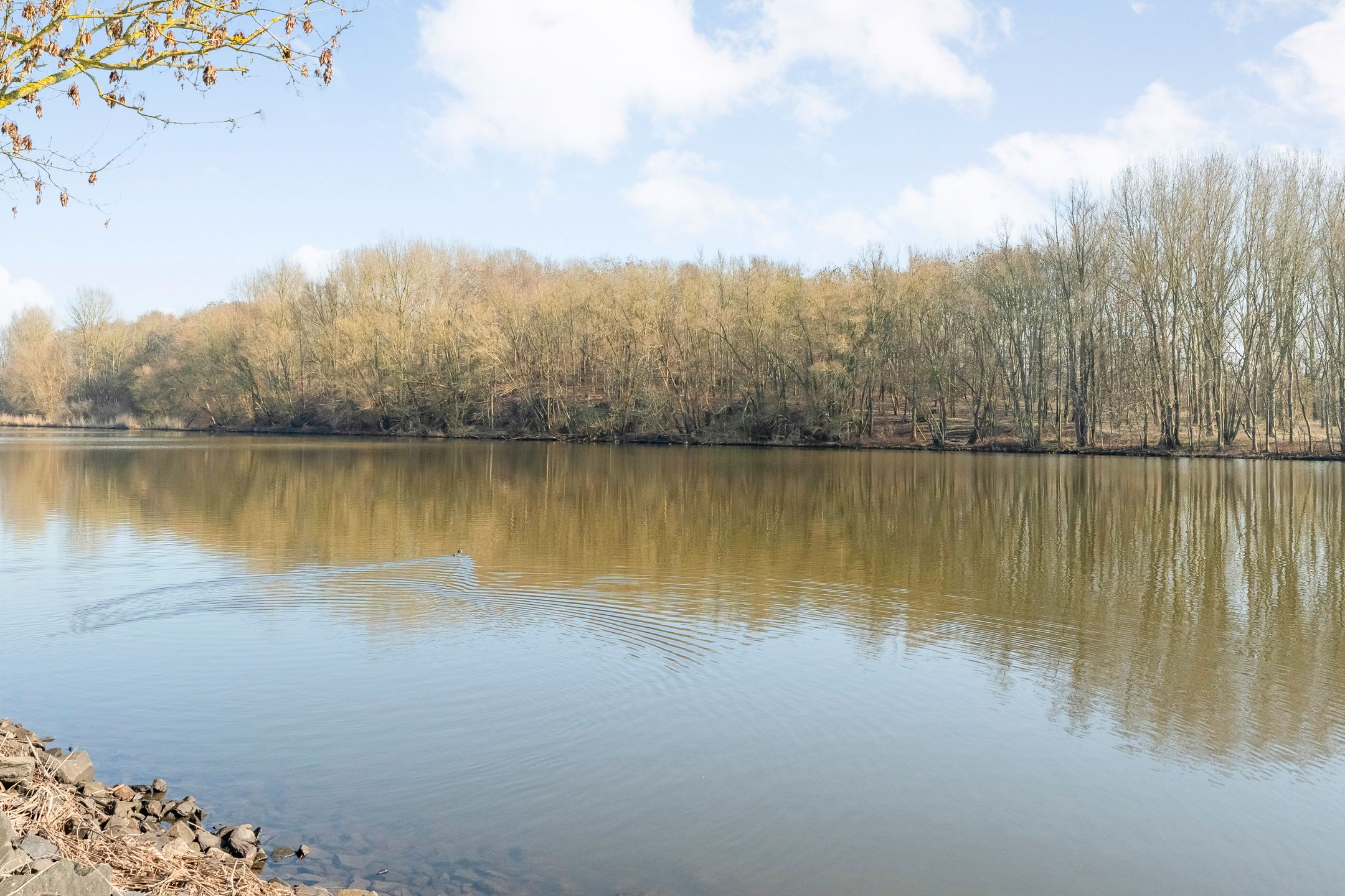 Photo 42 of Hasselterdijk 50-A