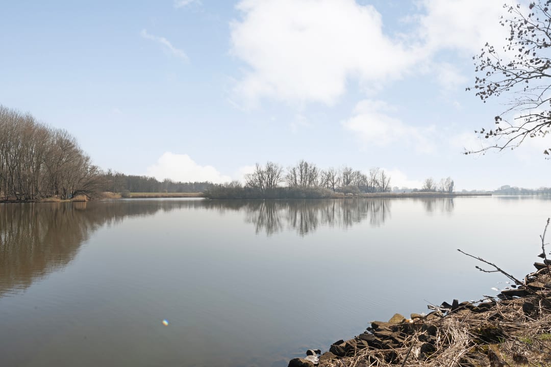 Photo 43 of Hasselterdijk 50-A