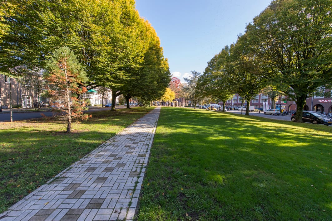 Foto 42 van Burgemeester van de Mortelstraat 14