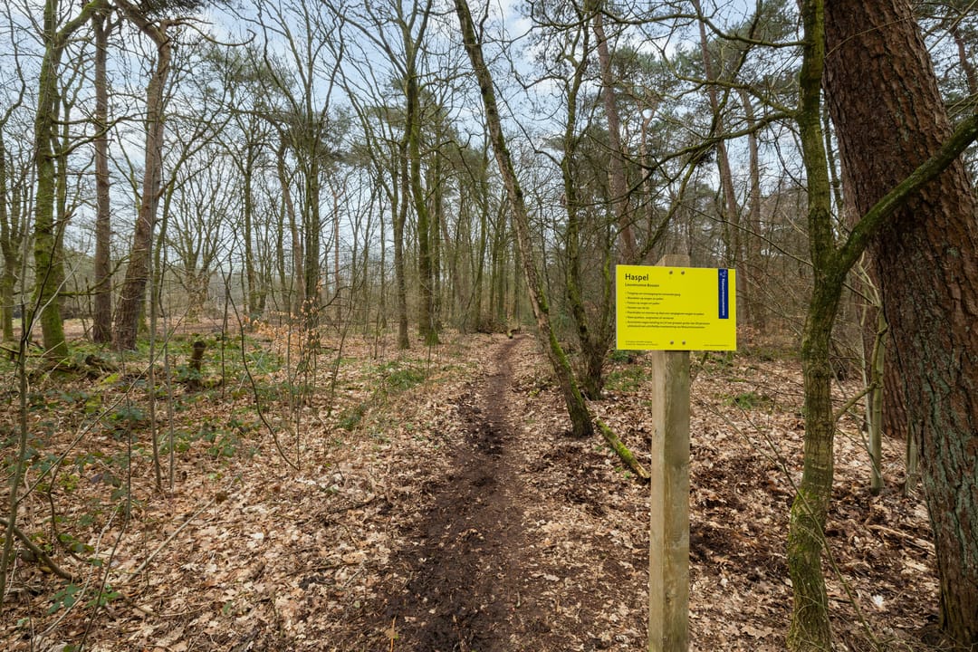 Foto 31 van Eendenparkweg 55-A5