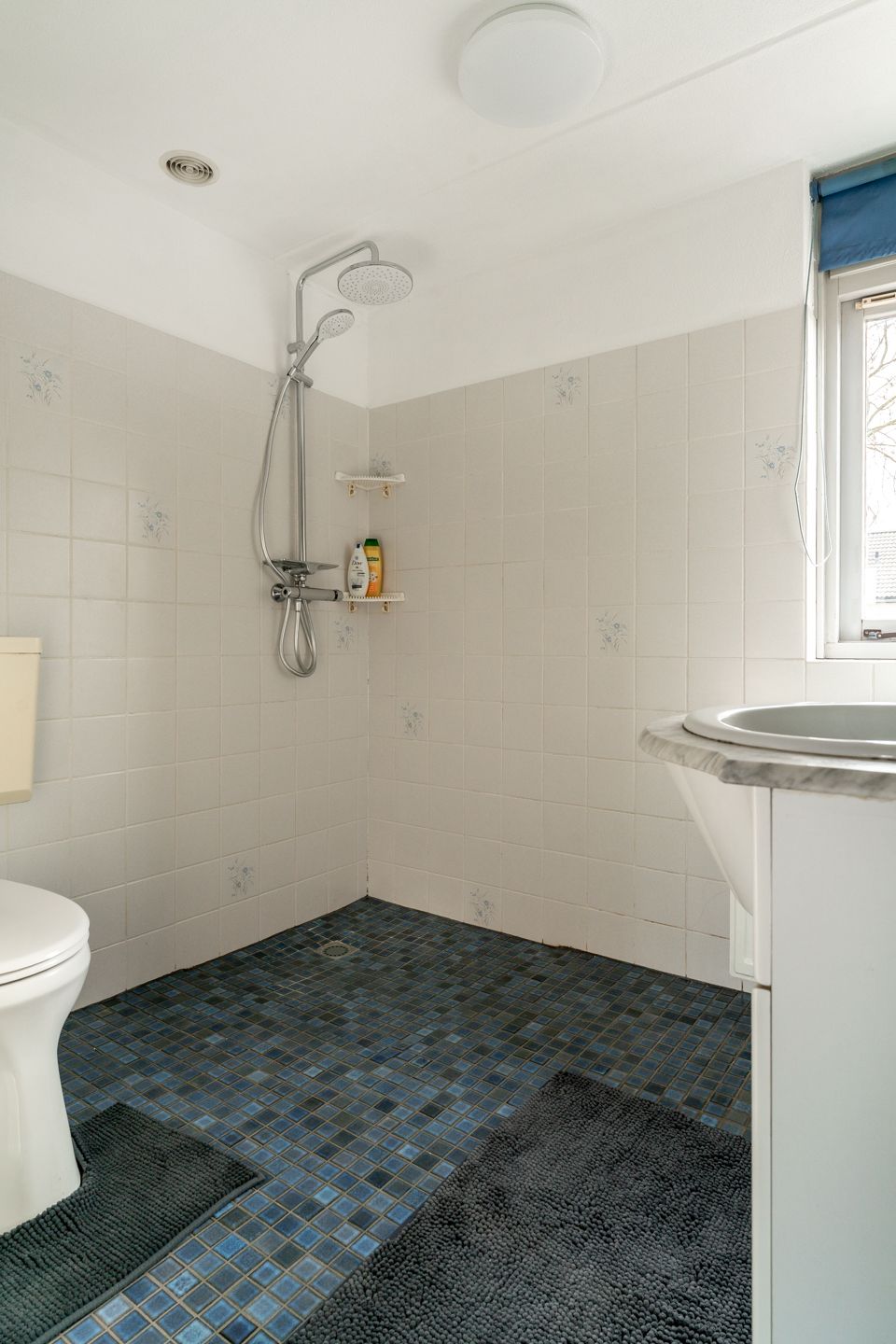 Foto 28 van Alessandria 14