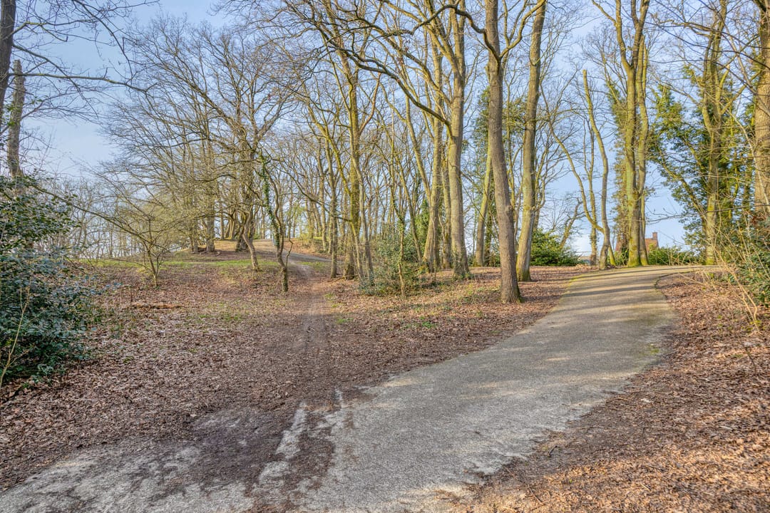 Foto 52 van Mgr. Nolenslaan 36