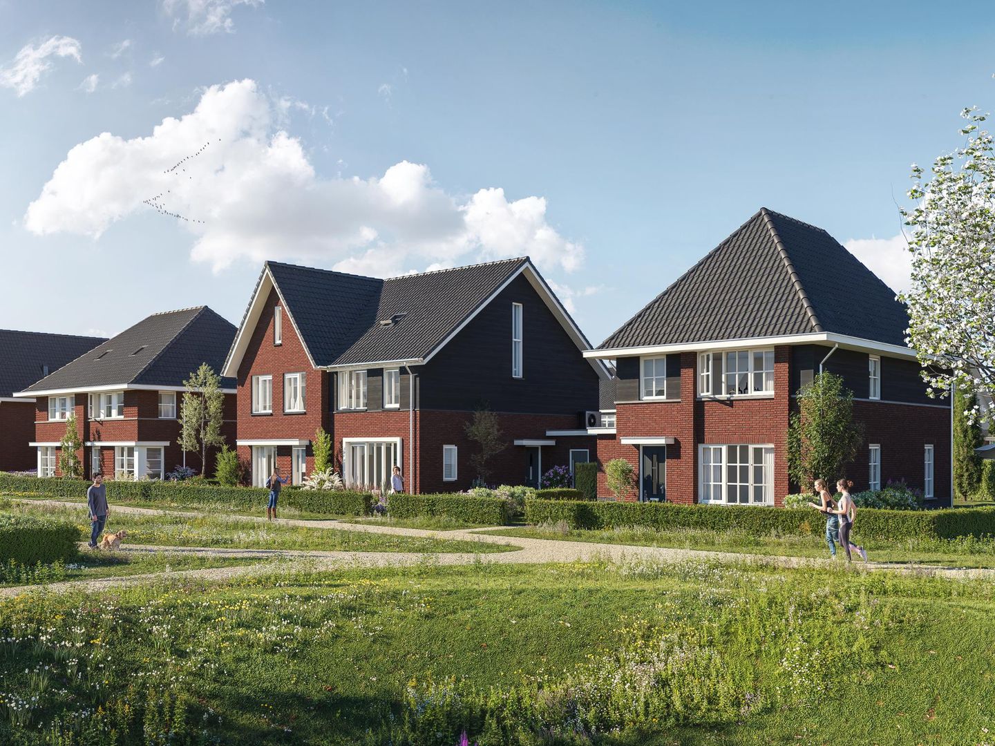 Foto 1 van 2 onder 1 kapwoningen (Bouwnr. 157)