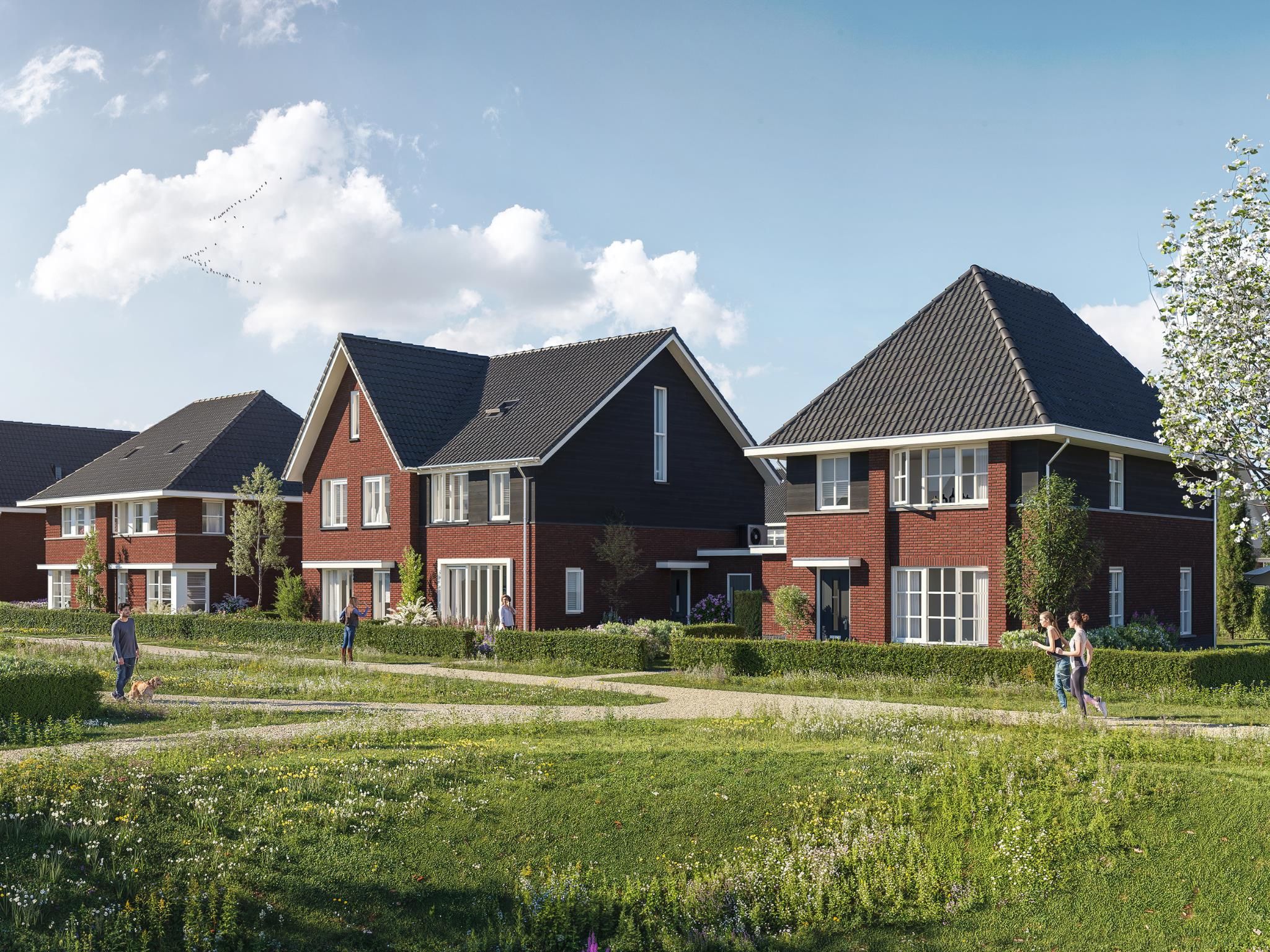 2 onder 1 kapwoningen (Bouwnr. 157)  false