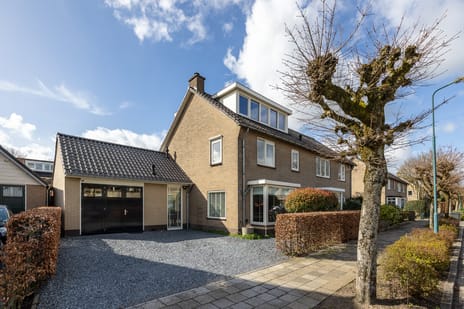 Frans Halslaan thumbnail