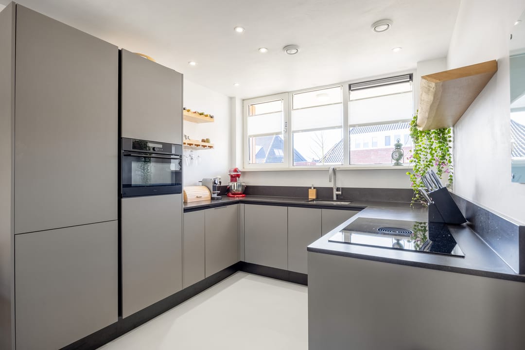 Foto 2 van Rietgans 11