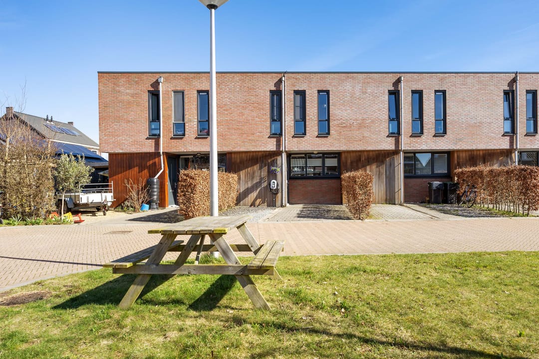 Foto 8 van Rietgans 11