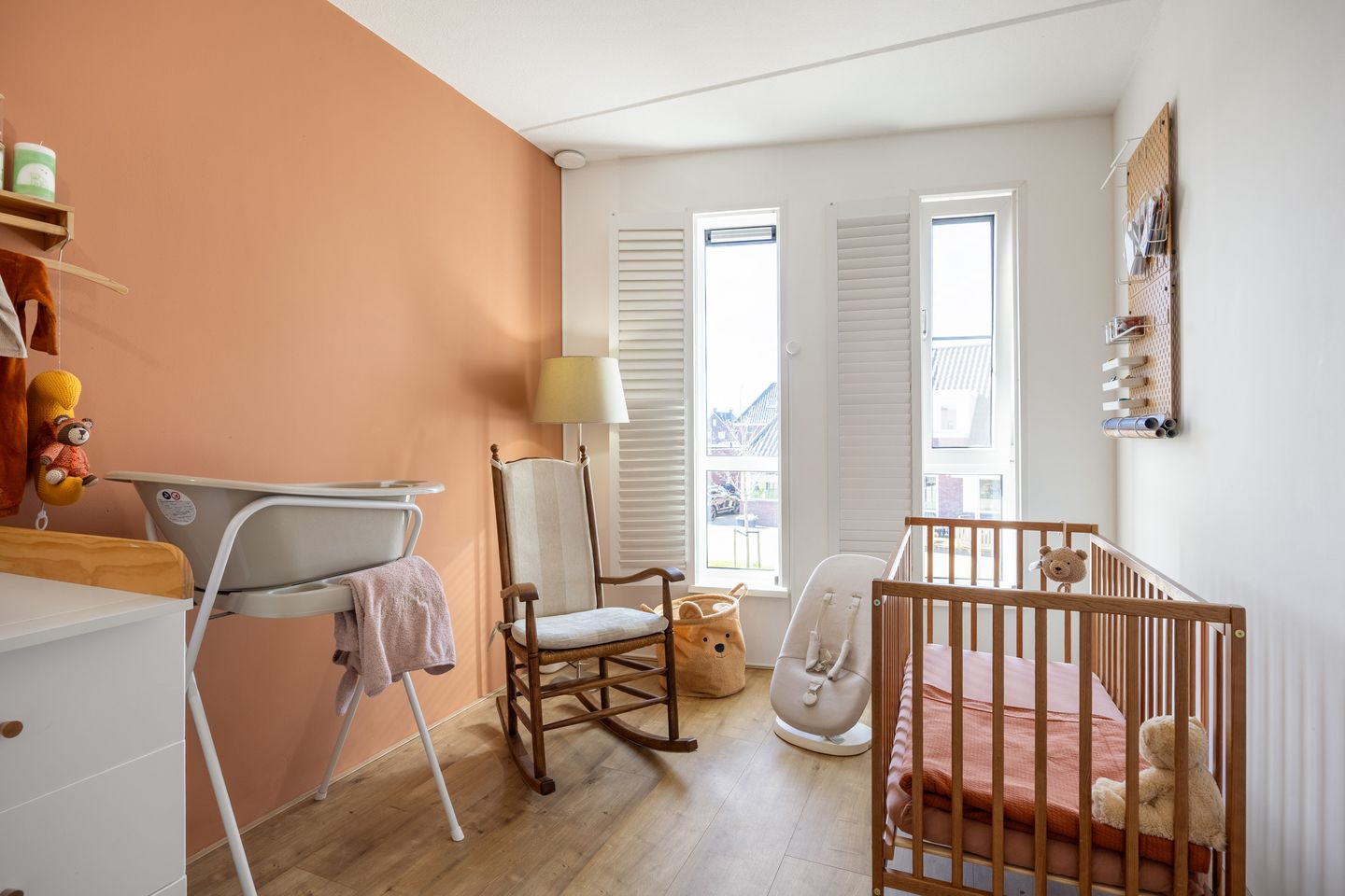 Foto 40 van Rietgans 11