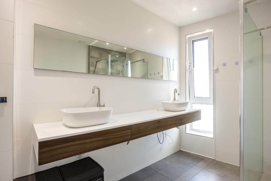 Foto 43 van Rietgans 11