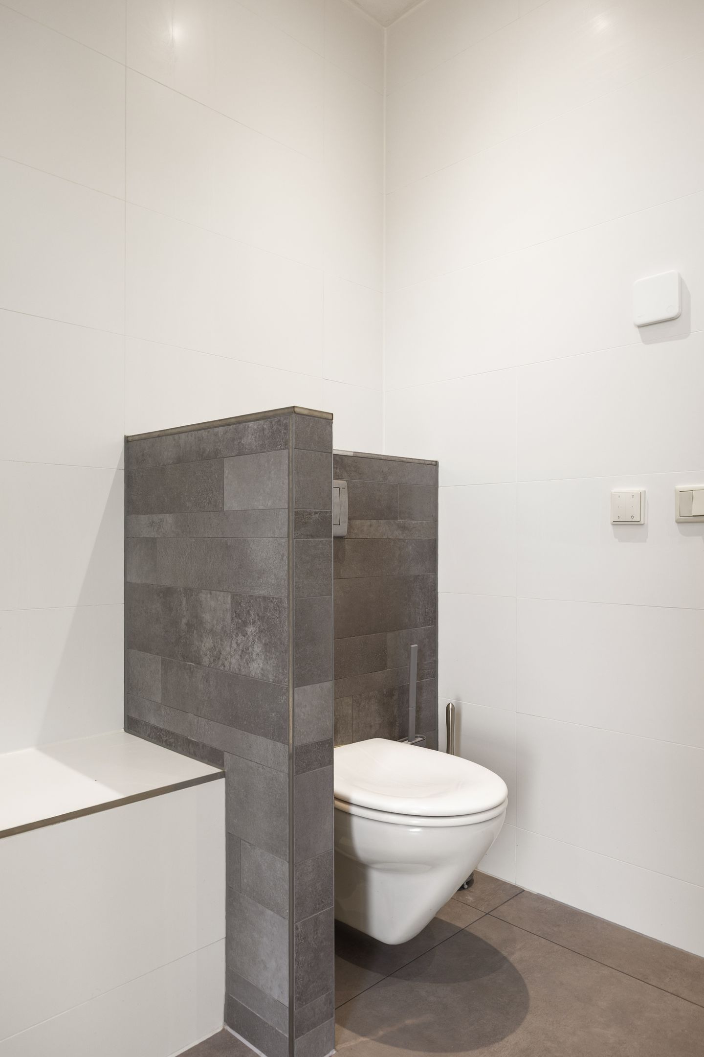 Foto 49 van Rietgans 11