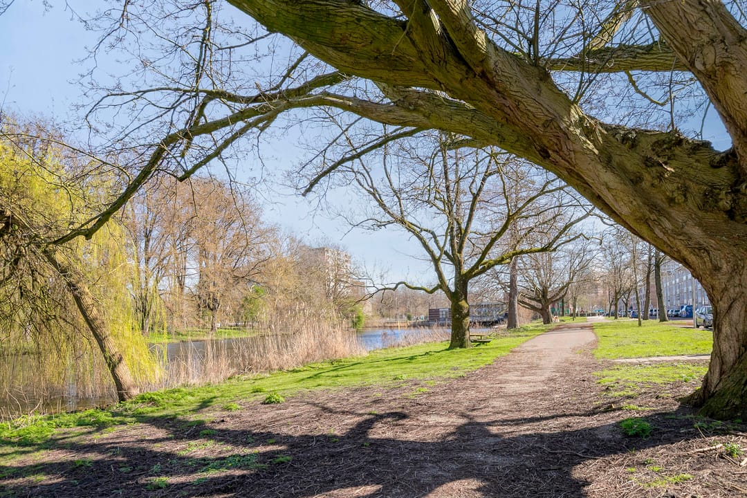 Foto 28 van Alkmaarstraat 307