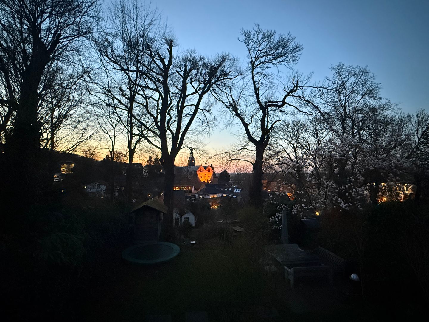 Foto 40 van van der Veurweg 16