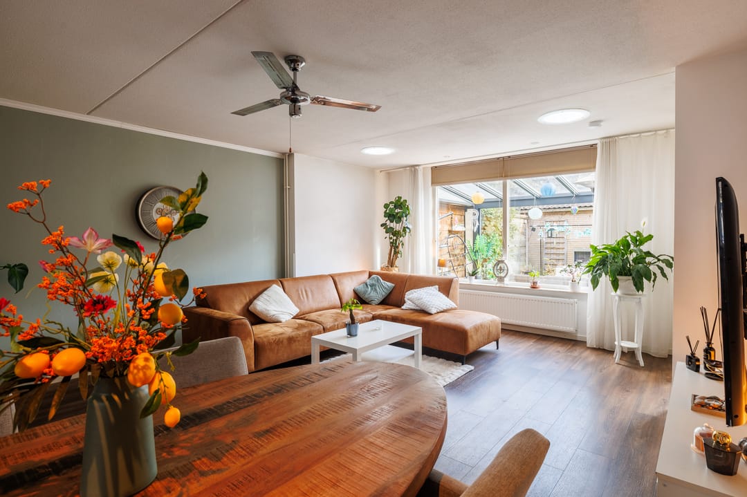 Foto 11 van Ganzerik 47