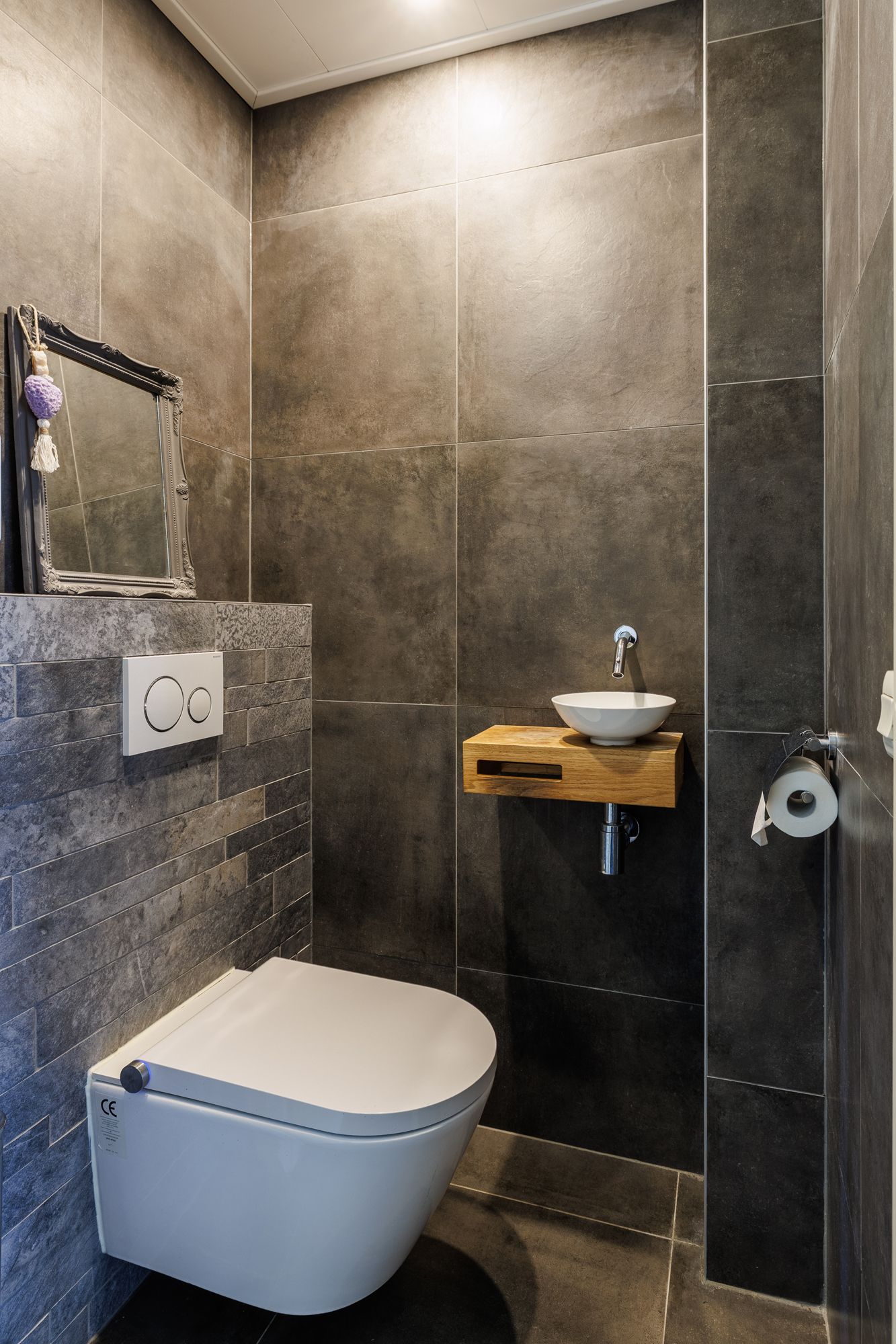 Foto 12 van Ganzerik 47