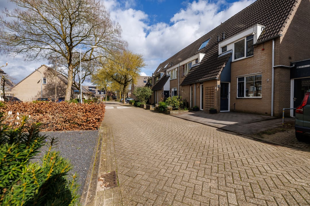 Foto 32 van Ganzerik 47