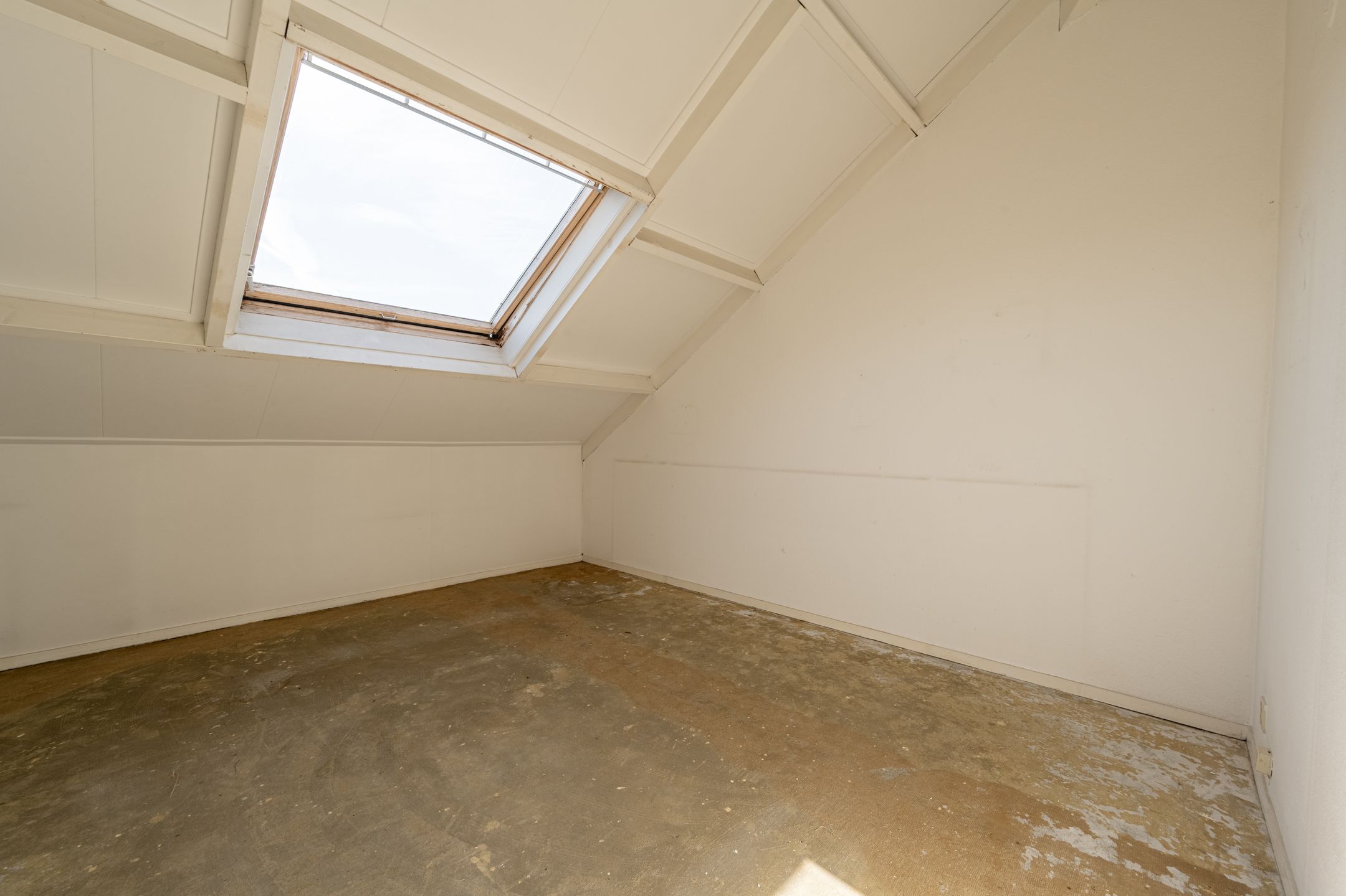 Foto 12 van Cabbeweide 4