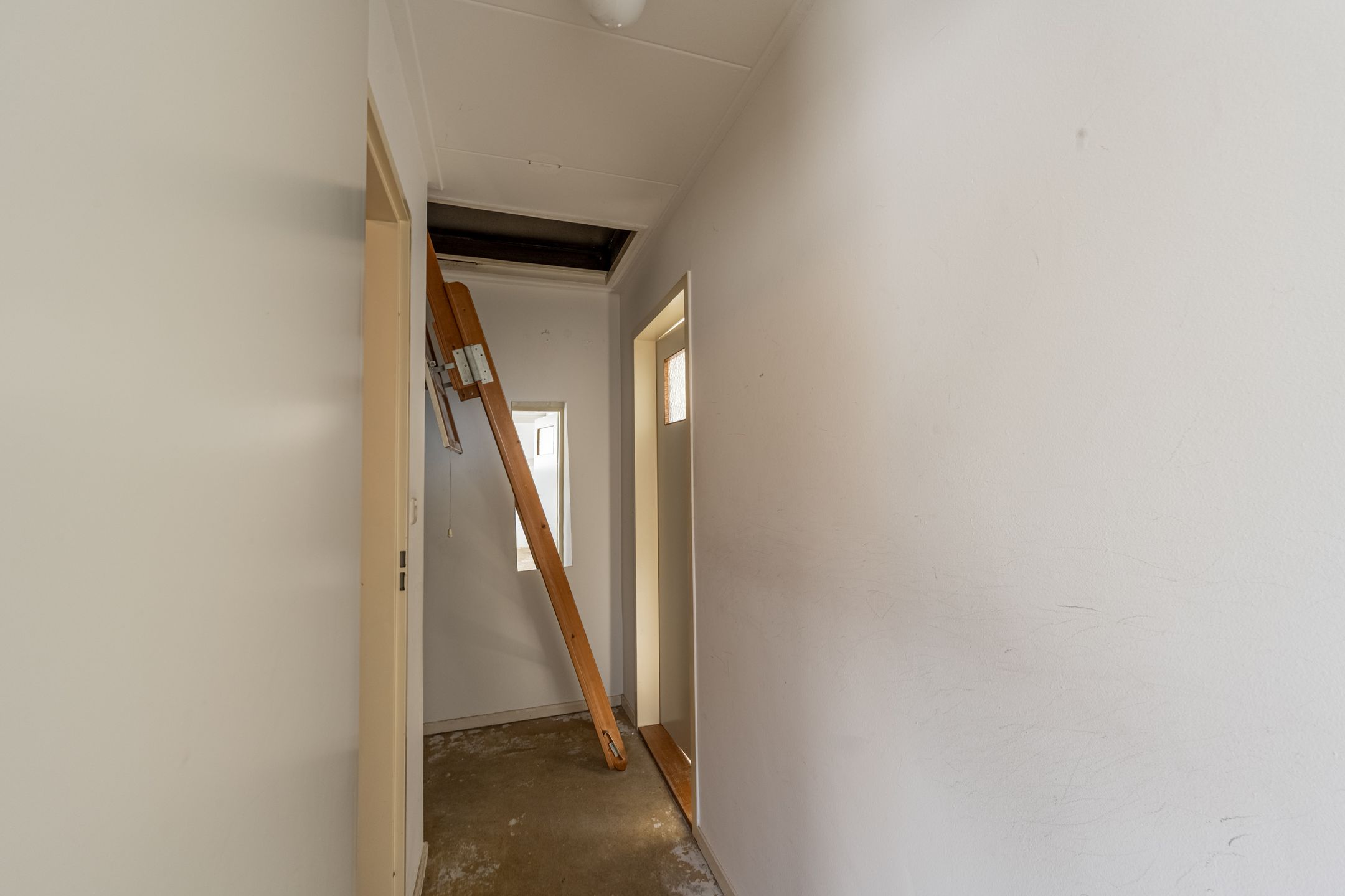 Foto 21 van Cabbeweide 4