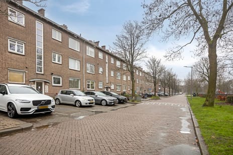 Lepelaarsingel thumbnail