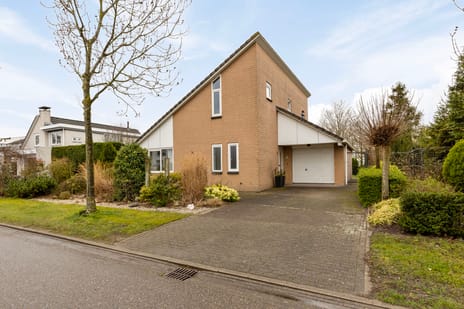 Blokjesplaat thumbnail