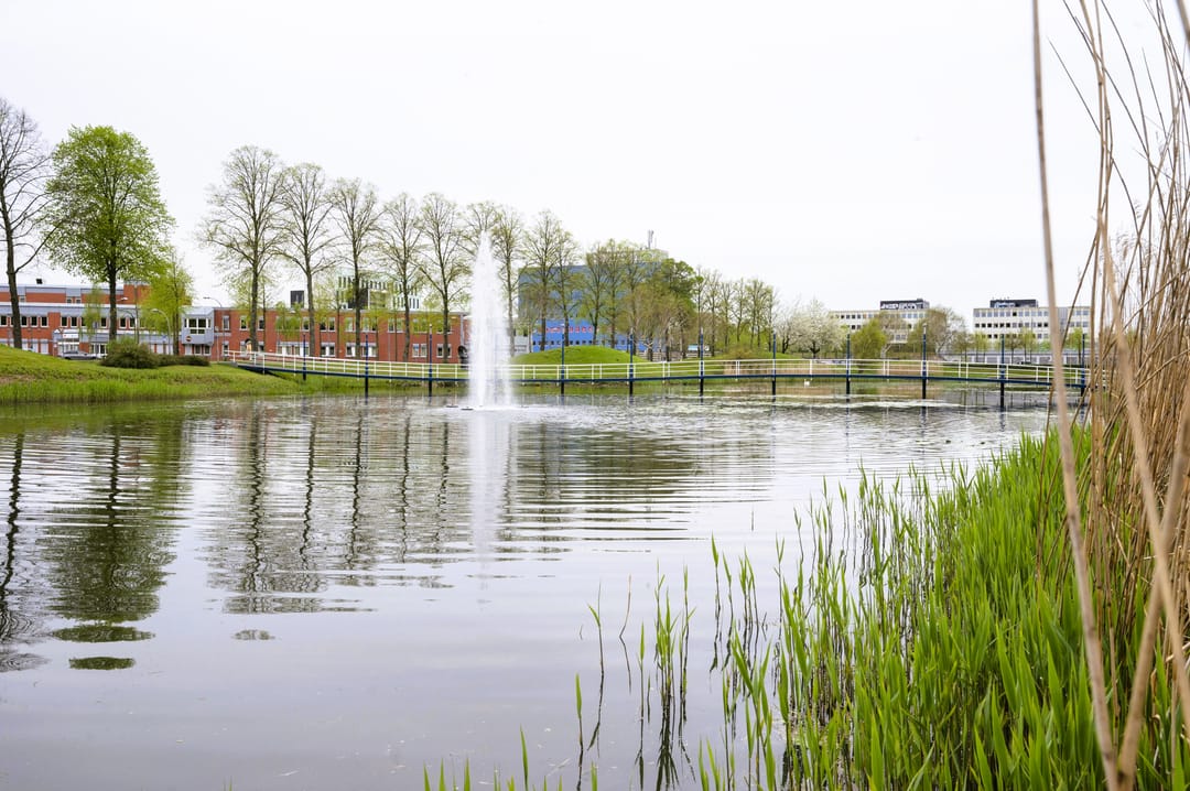 Foto 26 van Muntstraat 215