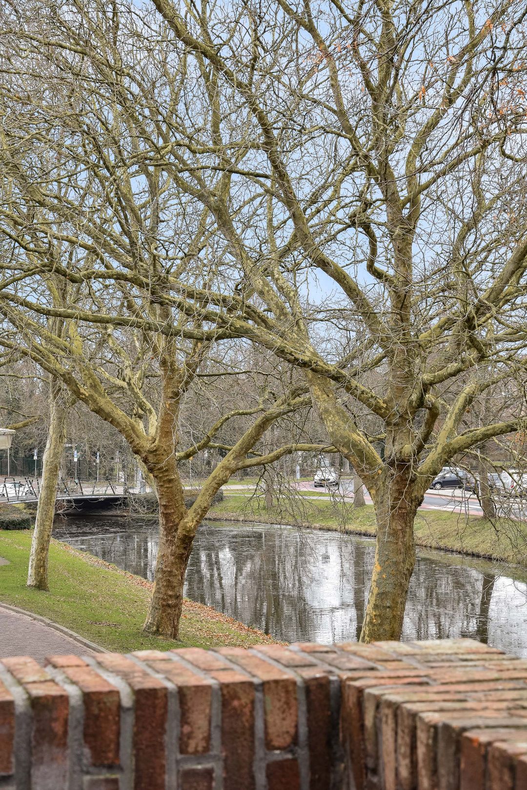 Foto 22 van Purmersteenweg 2