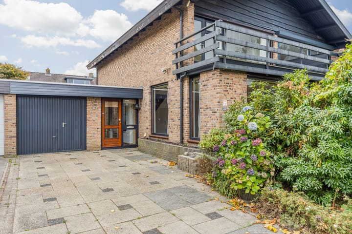 Photo 3 of Langelaar 69