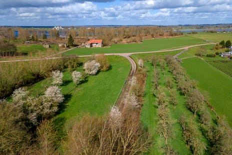 Raadhuisstraat 42 tertiary image