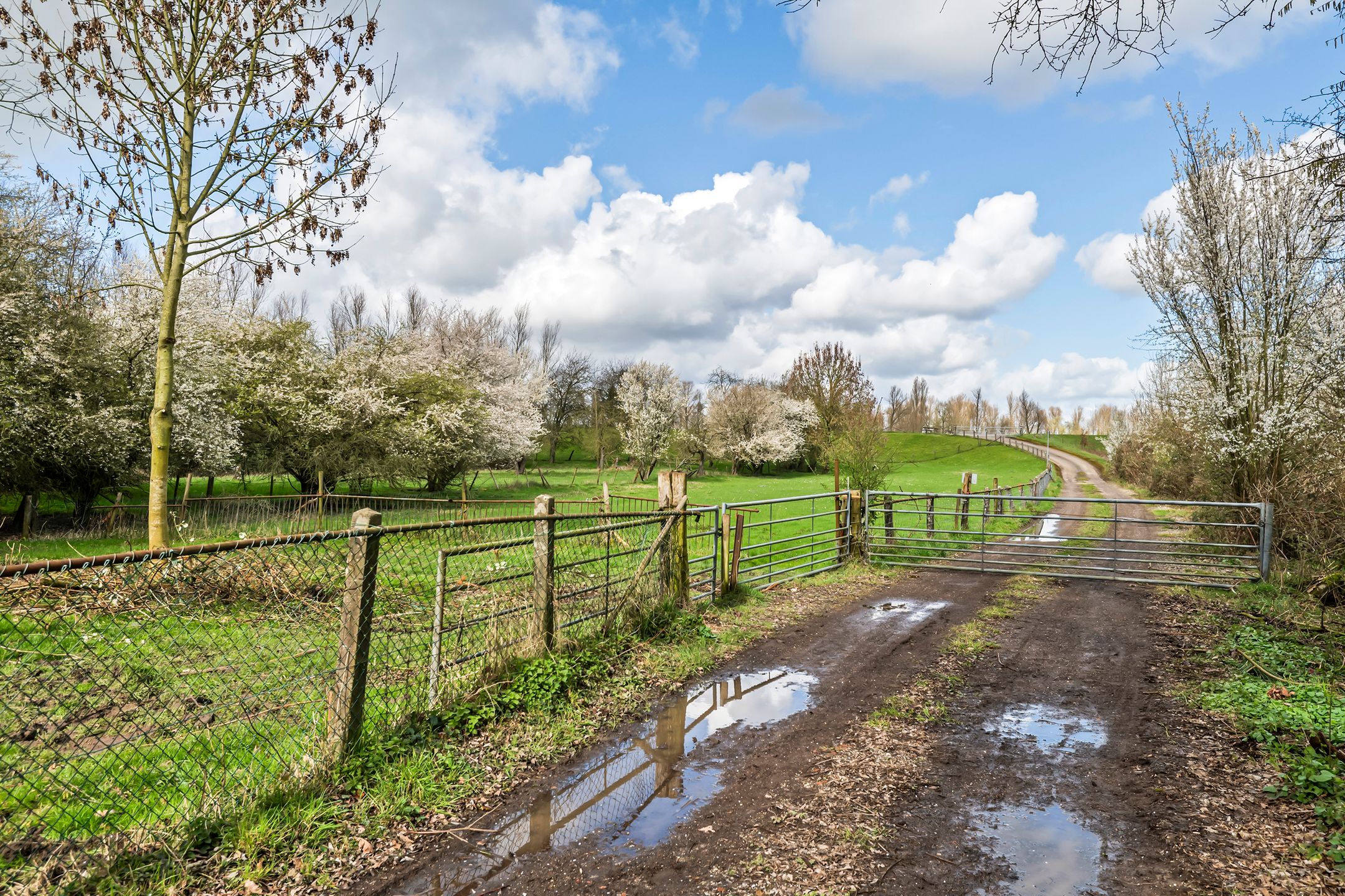 Foto 15 van Raadhuisstraat 42