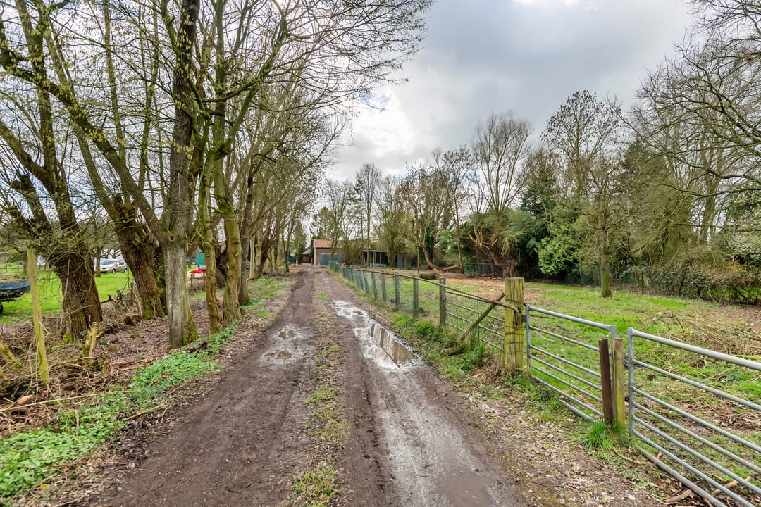 Foto 16 van Raadhuisstraat 42