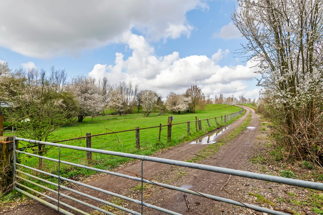 Foto 17 van Raadhuisstraat 42