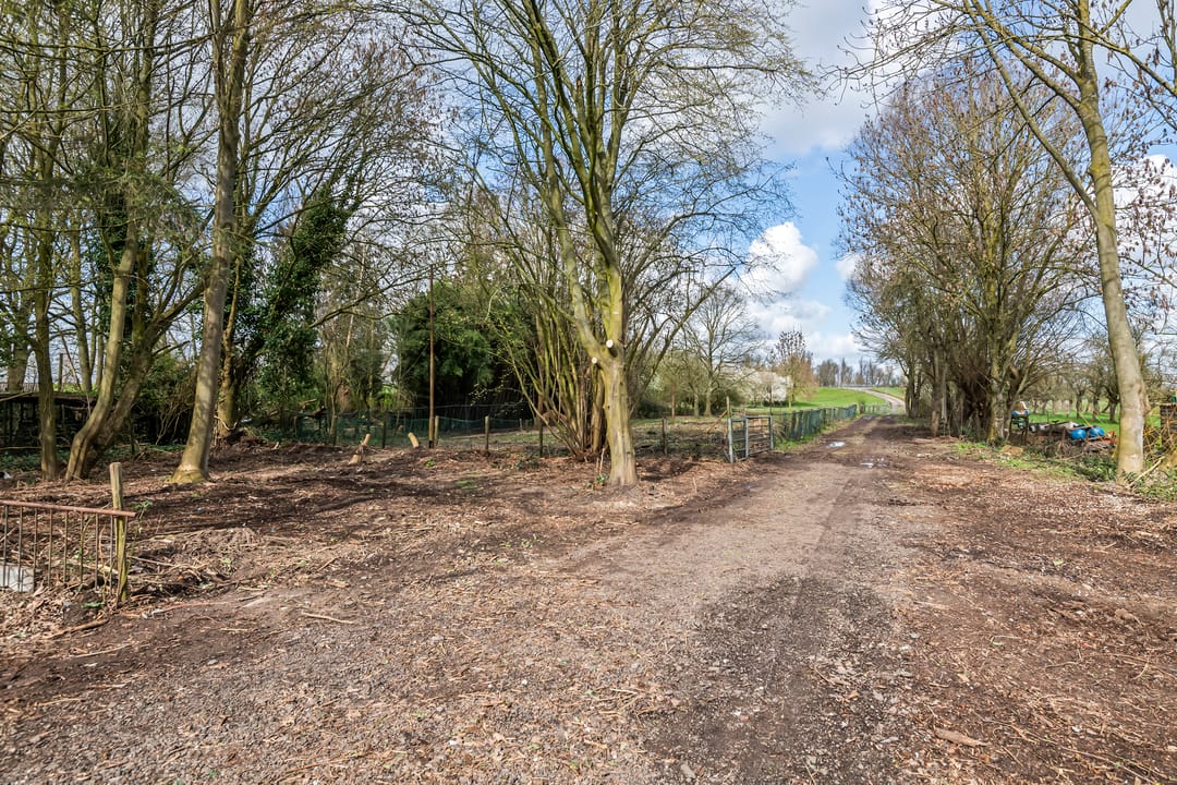 Foto 13 van Raadhuisstraat 42