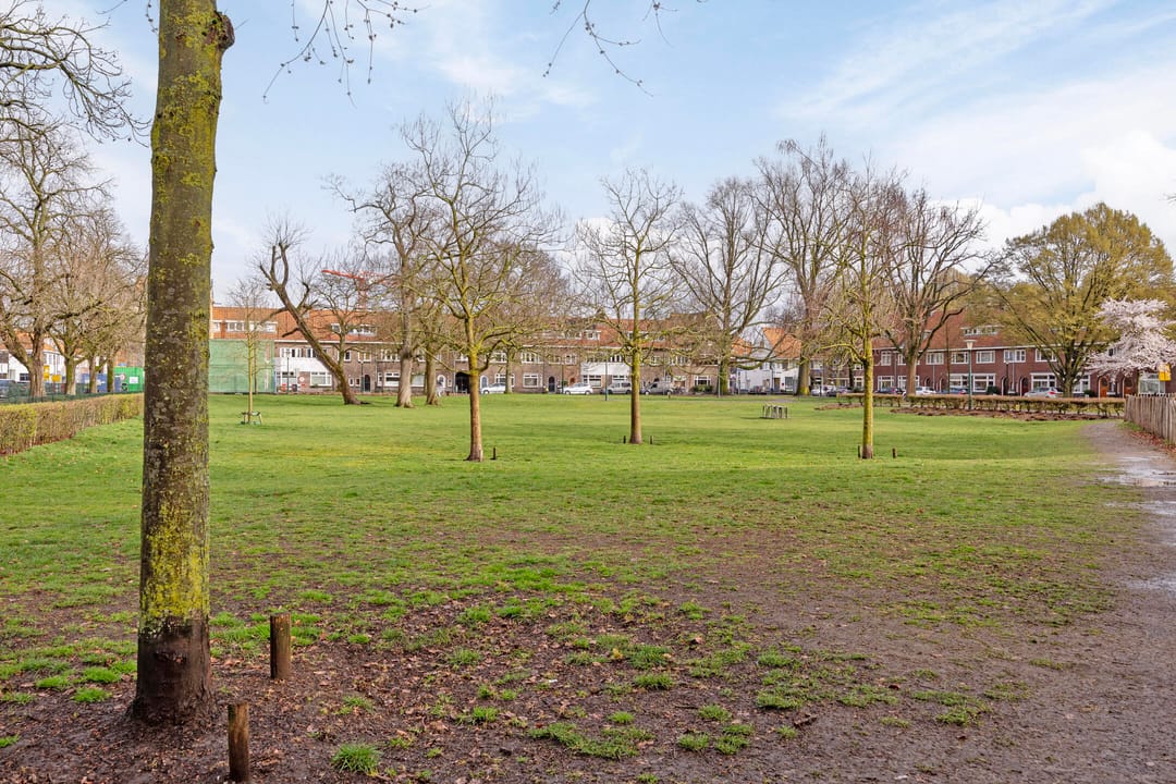 Photo 38 of Seringenstraat 14