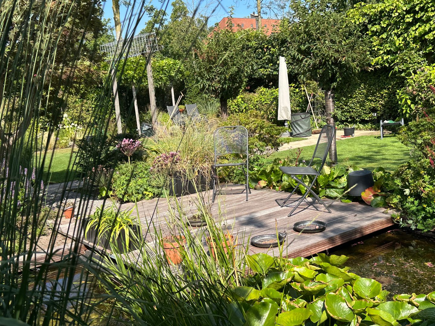 Photo 20 of Schimmelpennincksingel 2