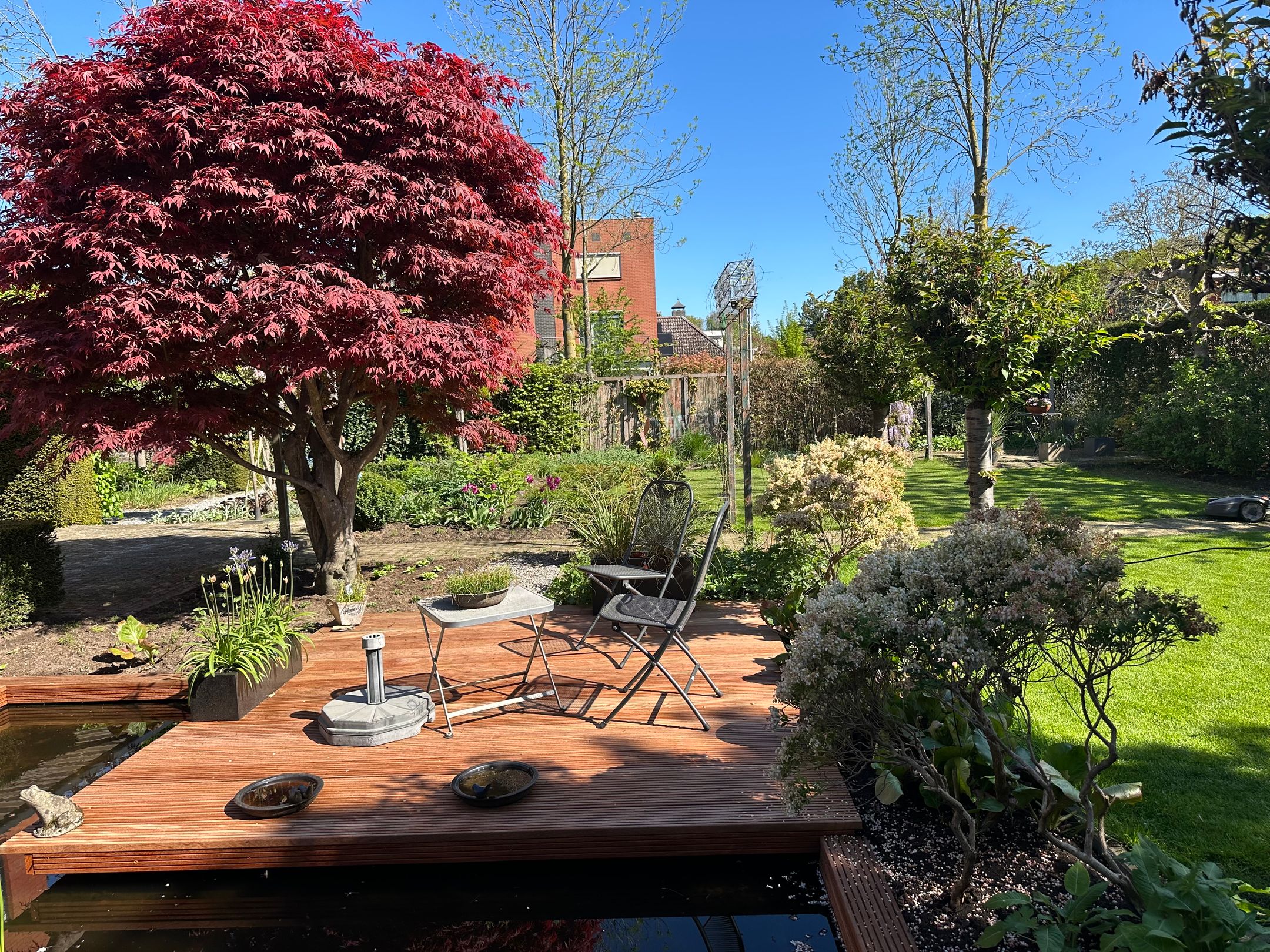 Photo 21 of Schimmelpennincksingel 2