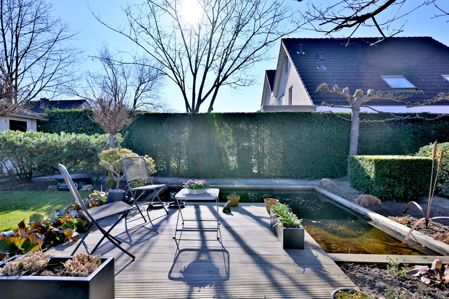 Photo 25 of Schimmelpennincksingel 2