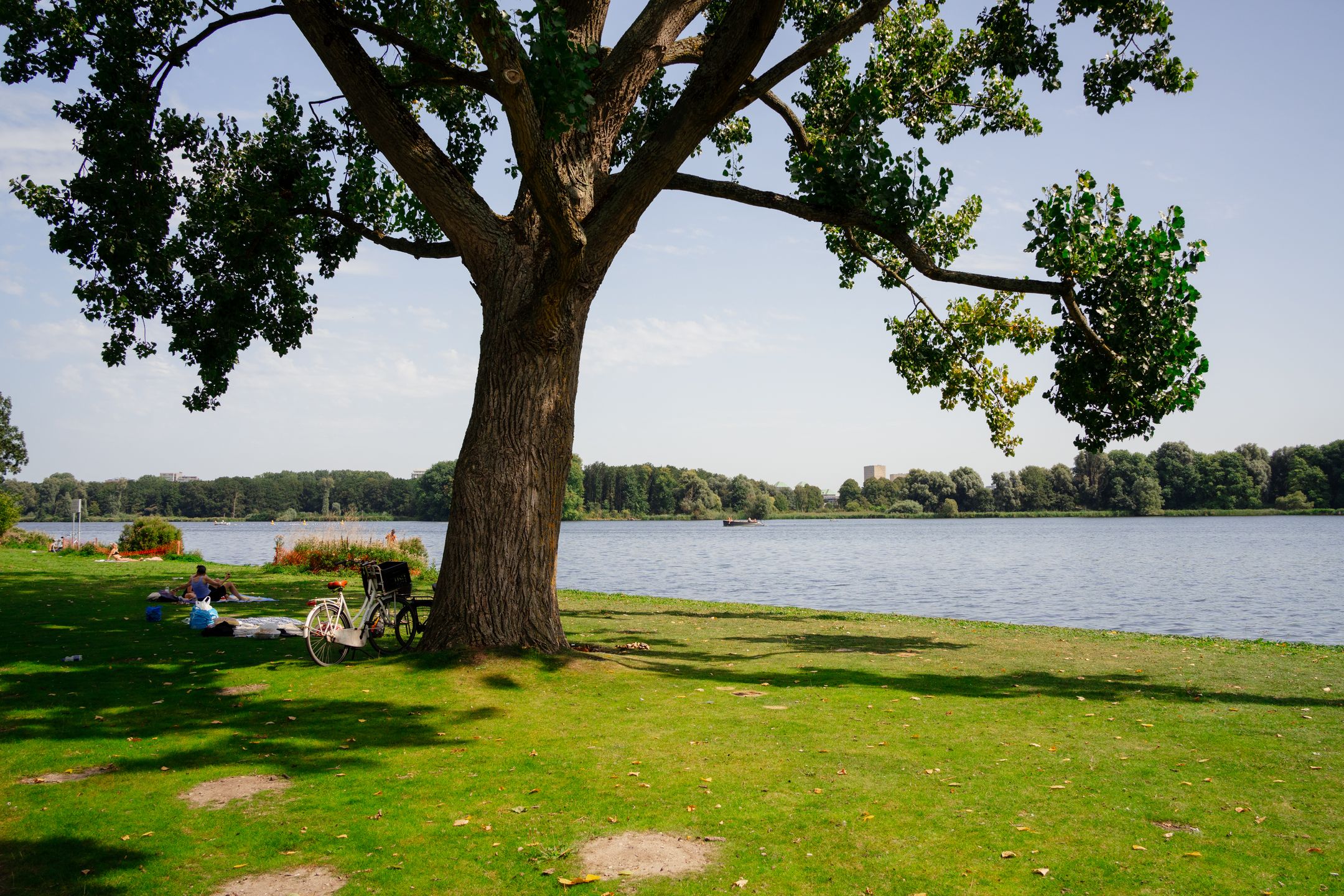 Foto 27 van Jan de Jonghstraat 87