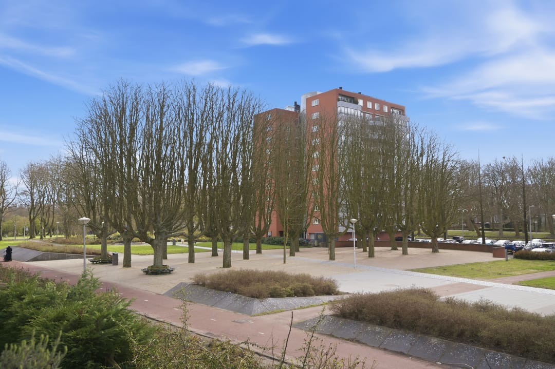 Foto 32 van Jan de Jonghstraat 87