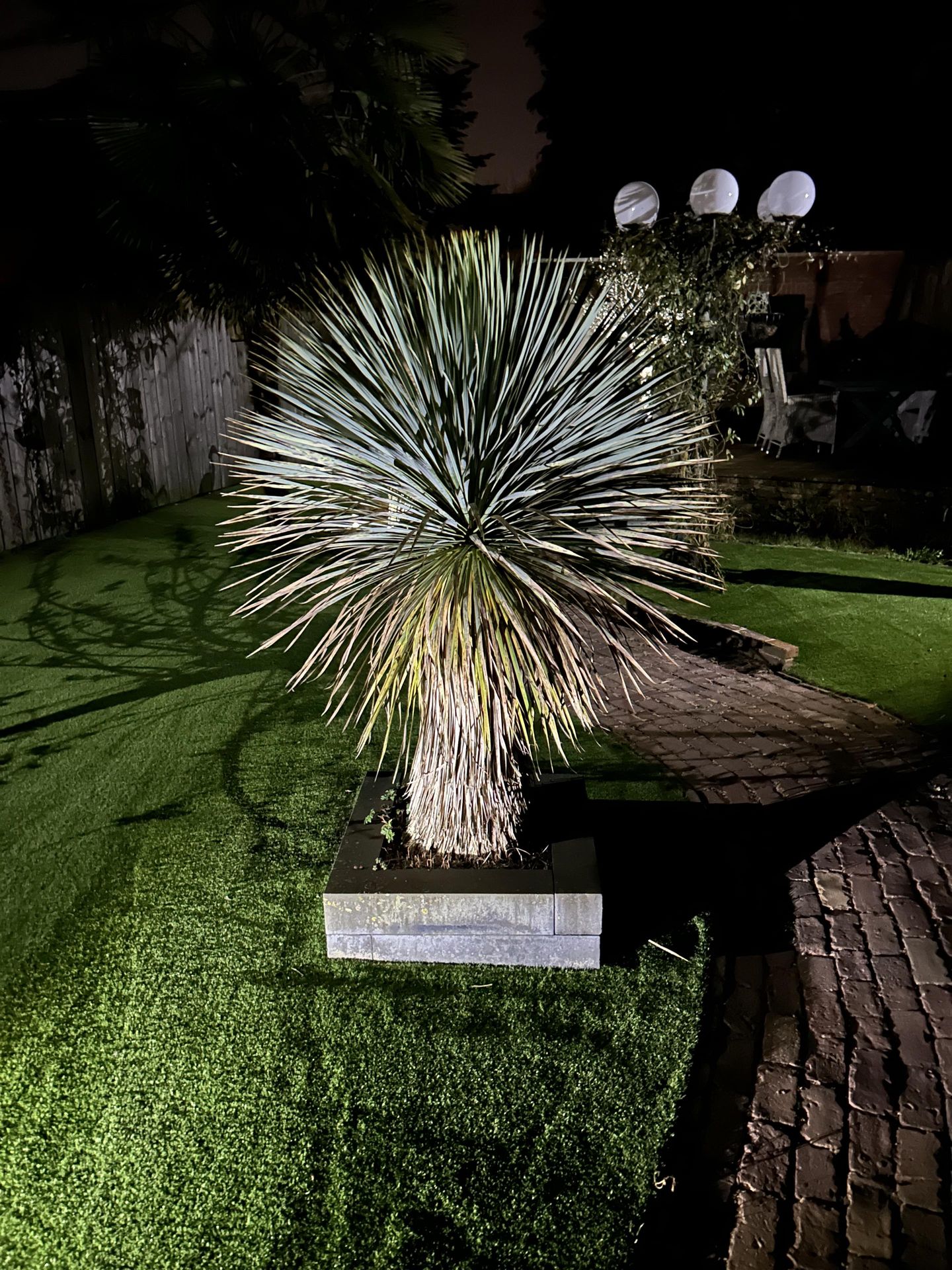 Photo 65 of Rijnstraat 23