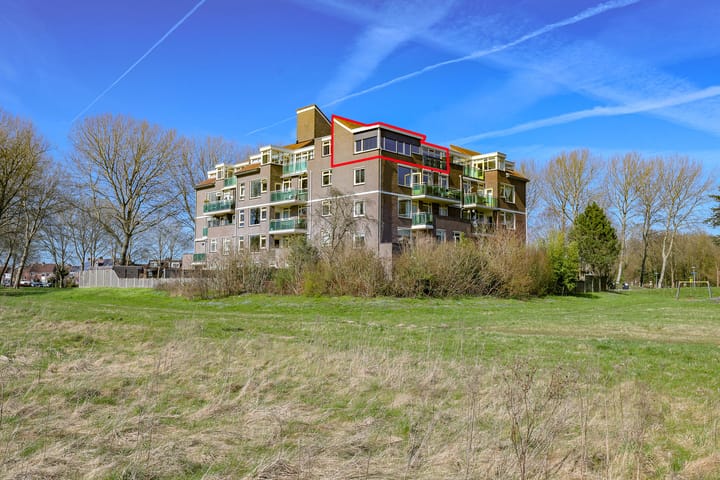 Terpmeent 66 main image