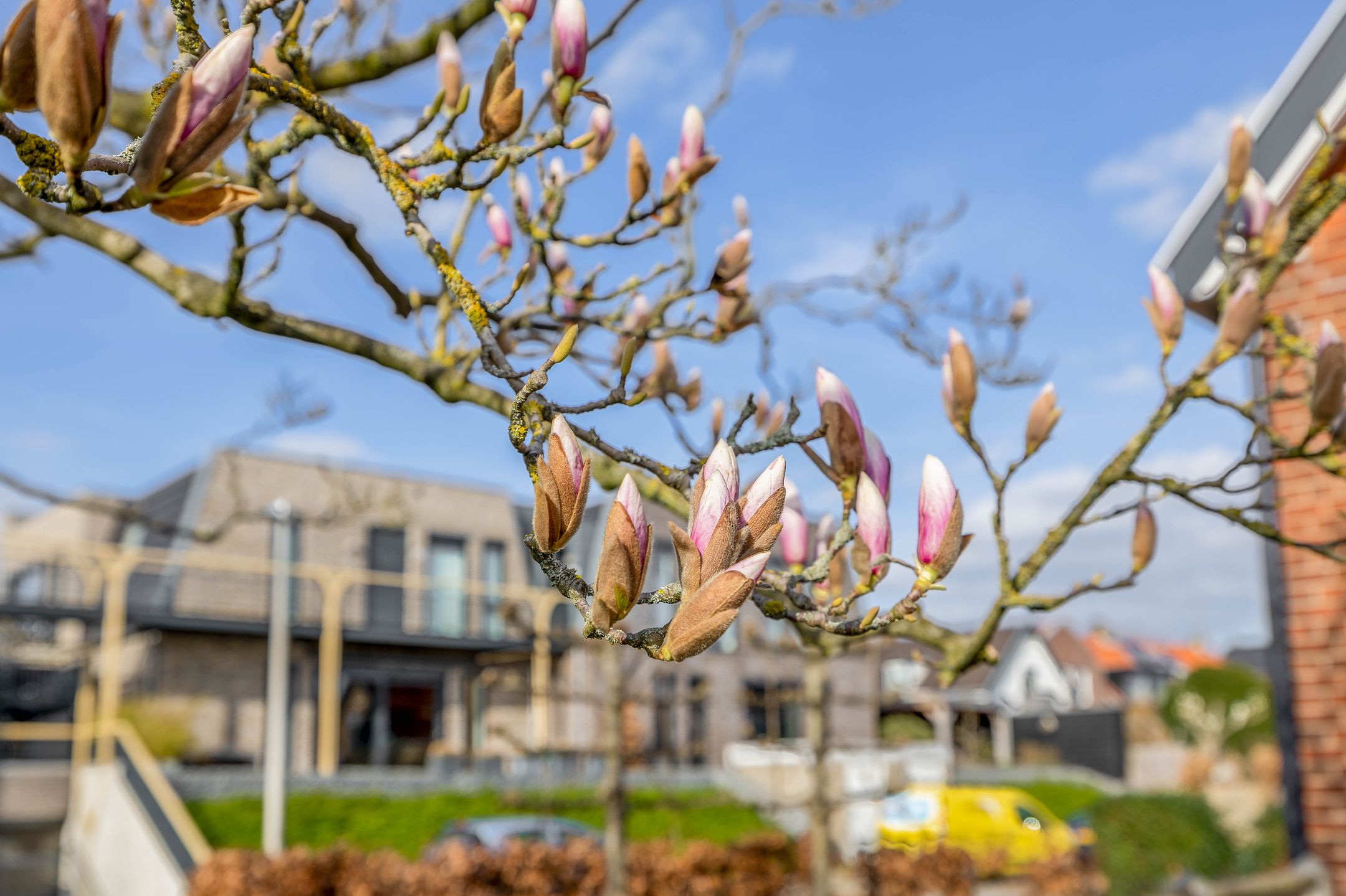 Foto 27 van Julianastraat 30