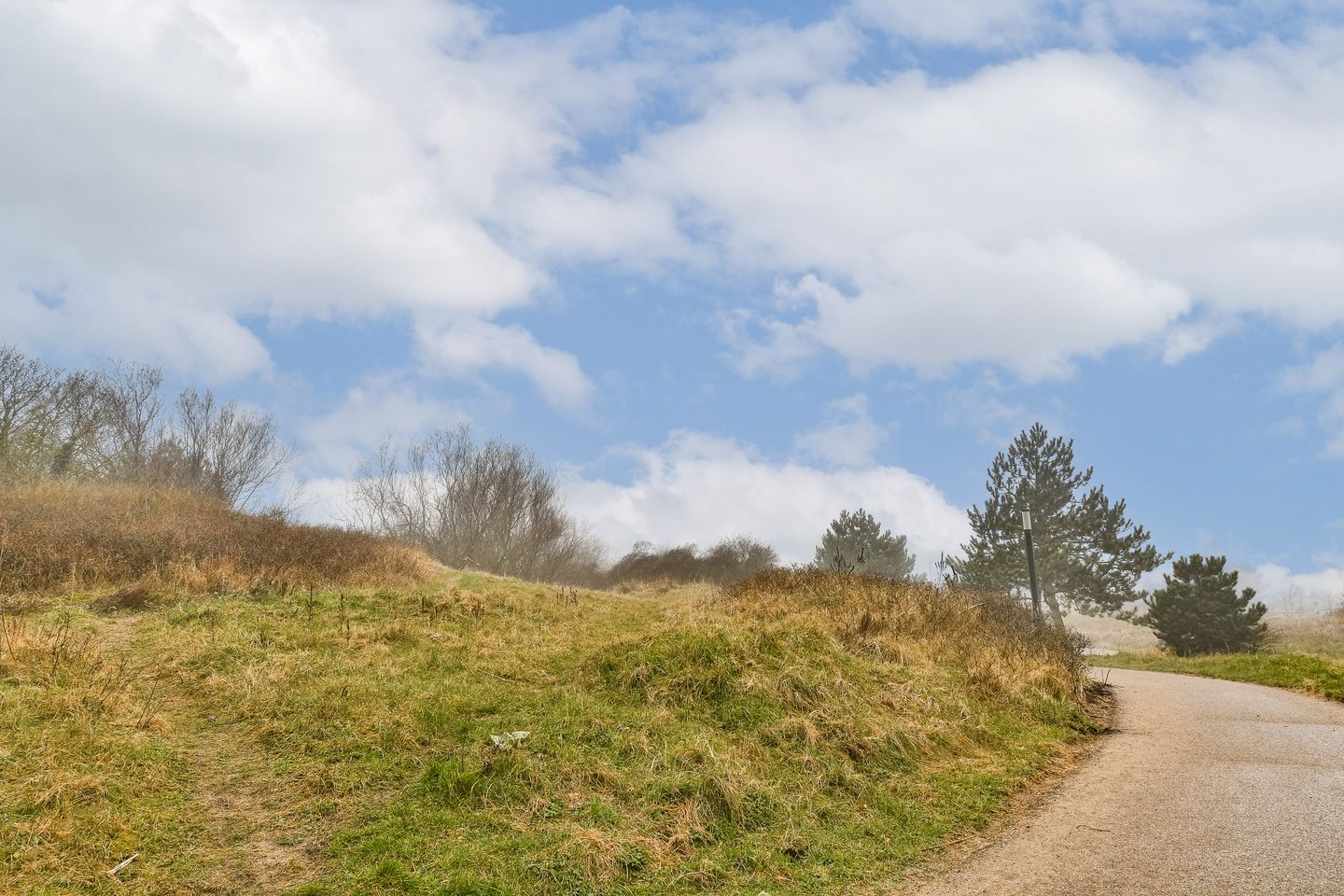 Foto 40 van Lorentzstraat 8